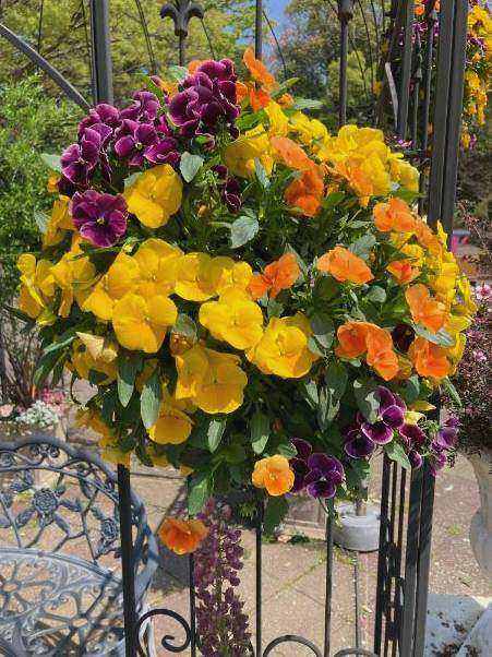 Composition florale de saison