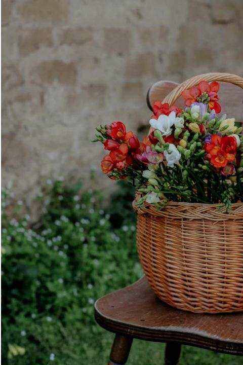 Installation florale en salle