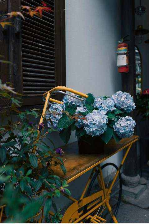 Composition printemps